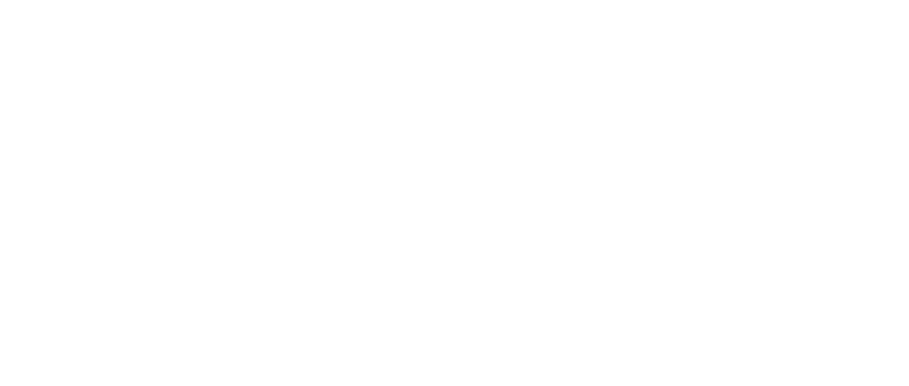 The On1y One Logo