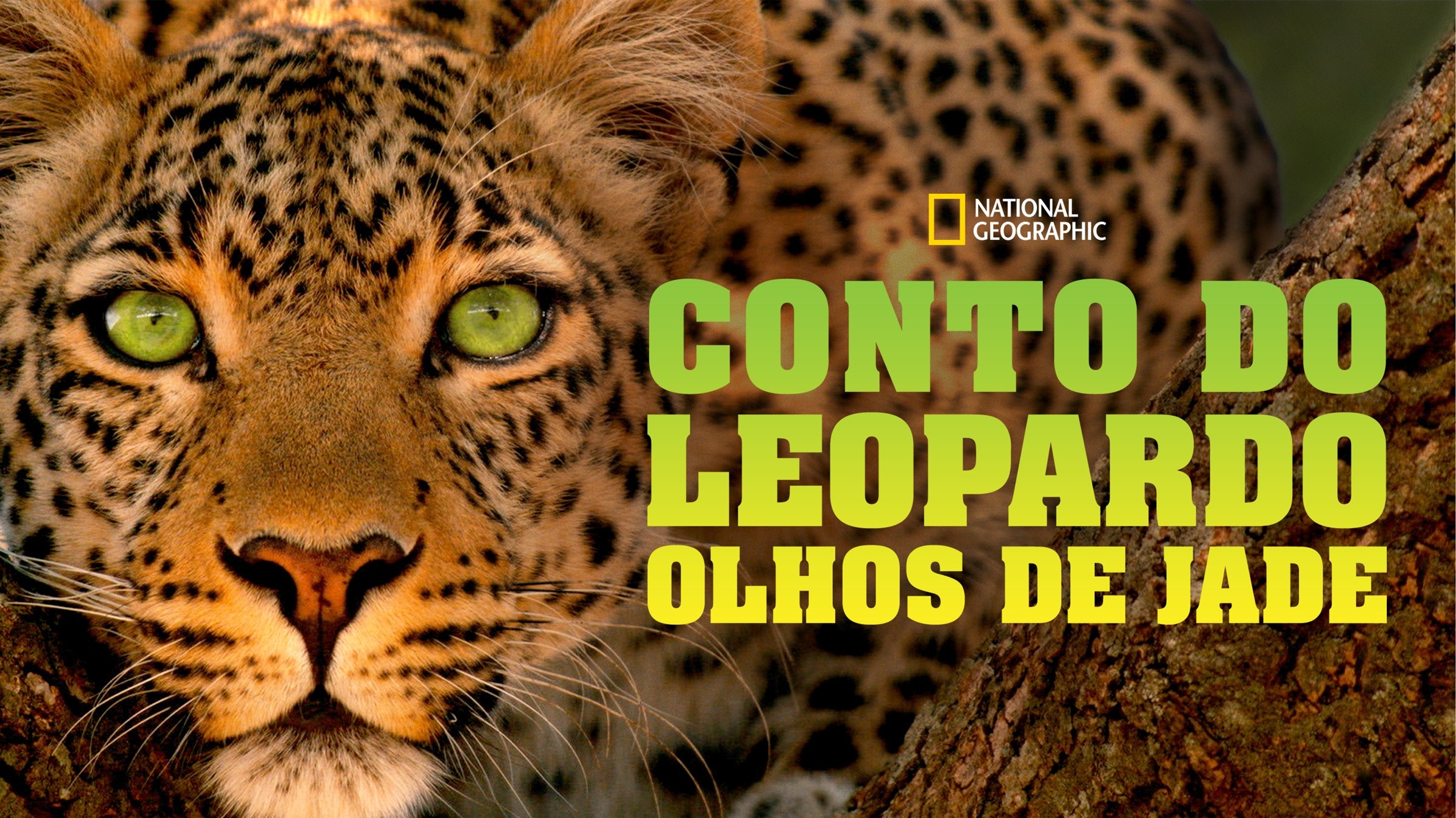 Jade Eyed Leopard