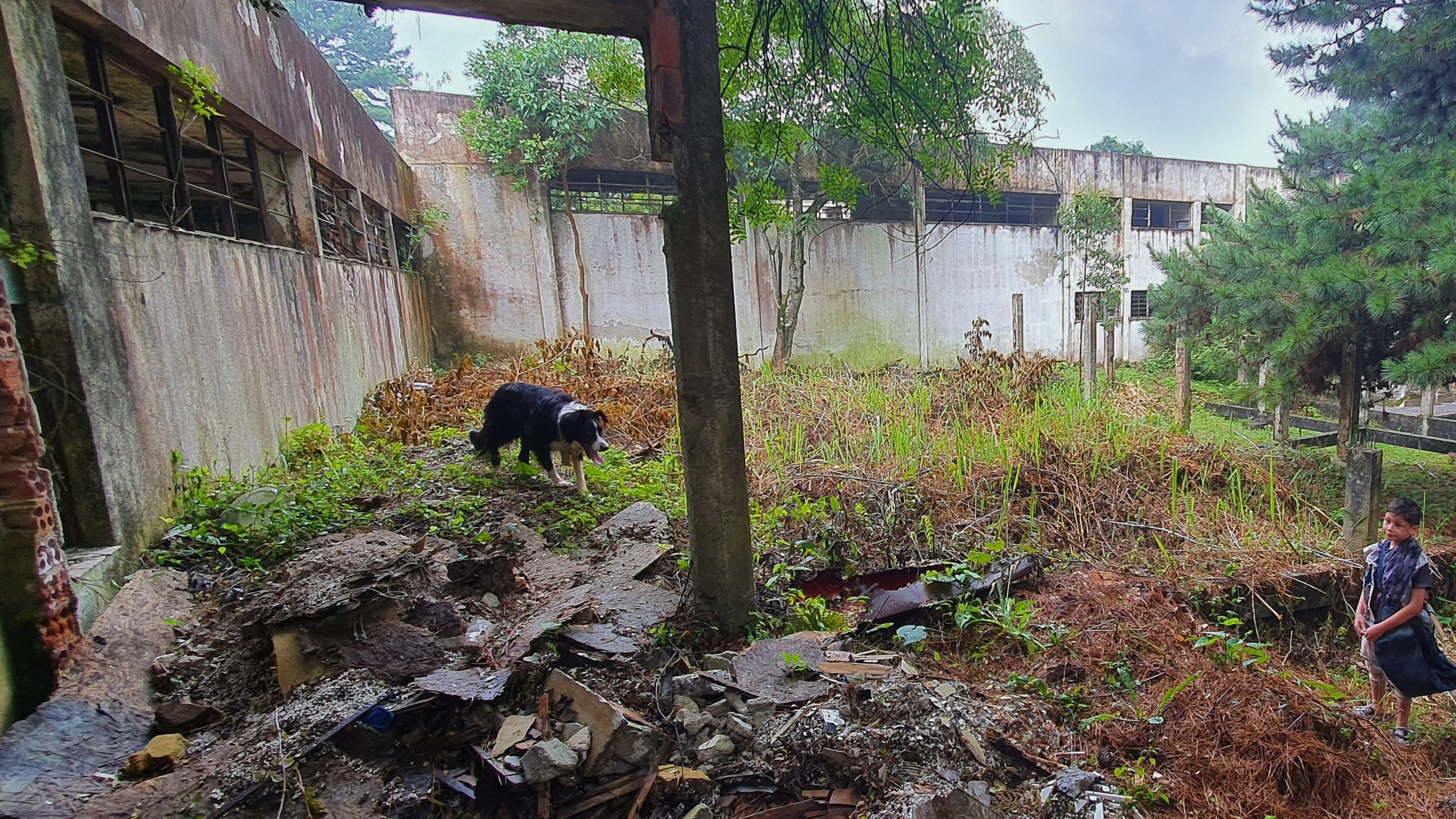 Border (2023)