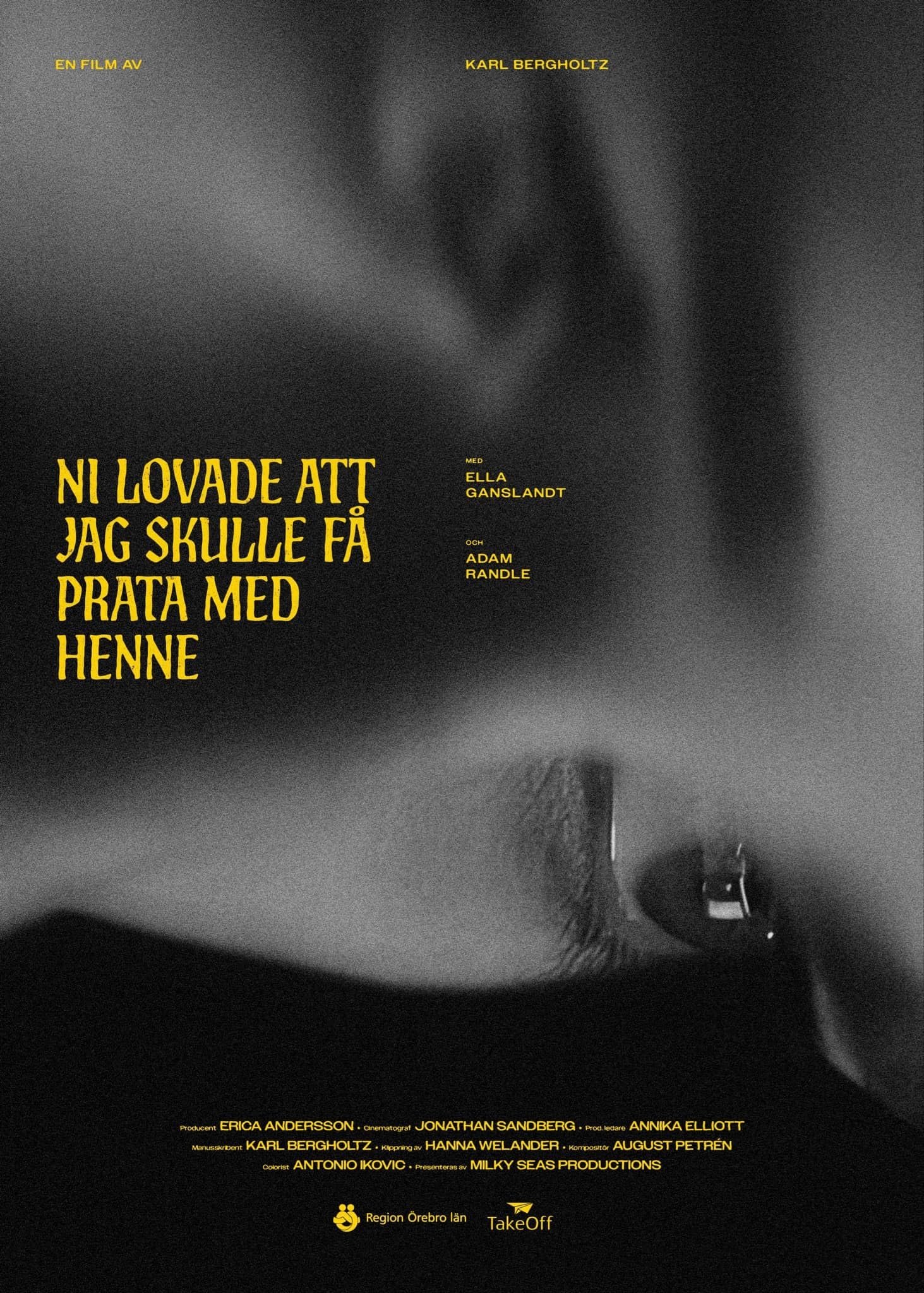 Ni lovade att jag skulle få prata med henne Ni lovade att jag skulle få prata med henne