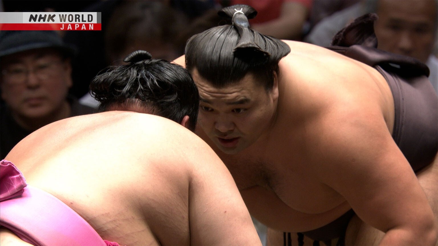 GRAND SUMO Highlights