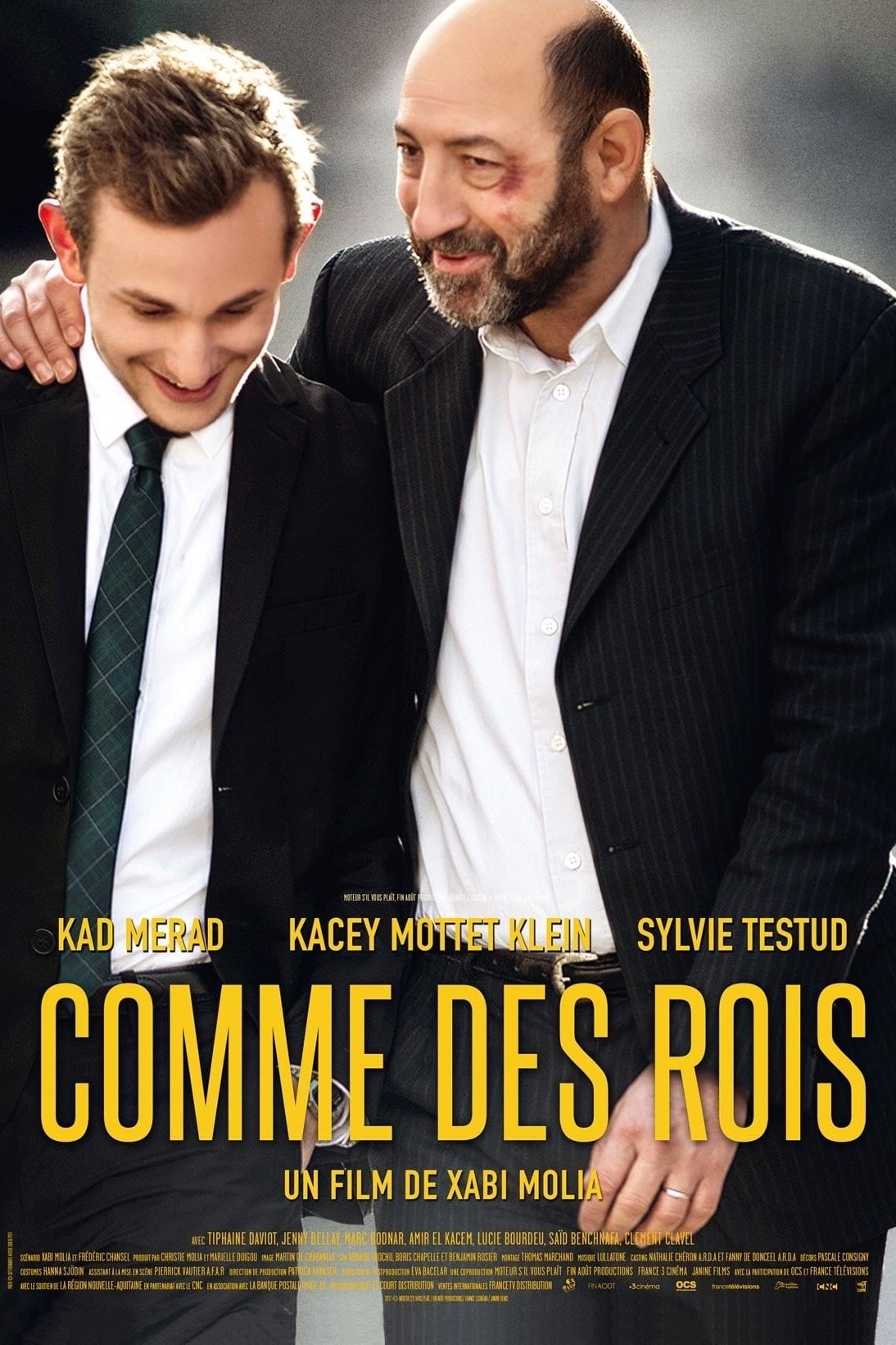 Affiche du film Comme des rois 25131