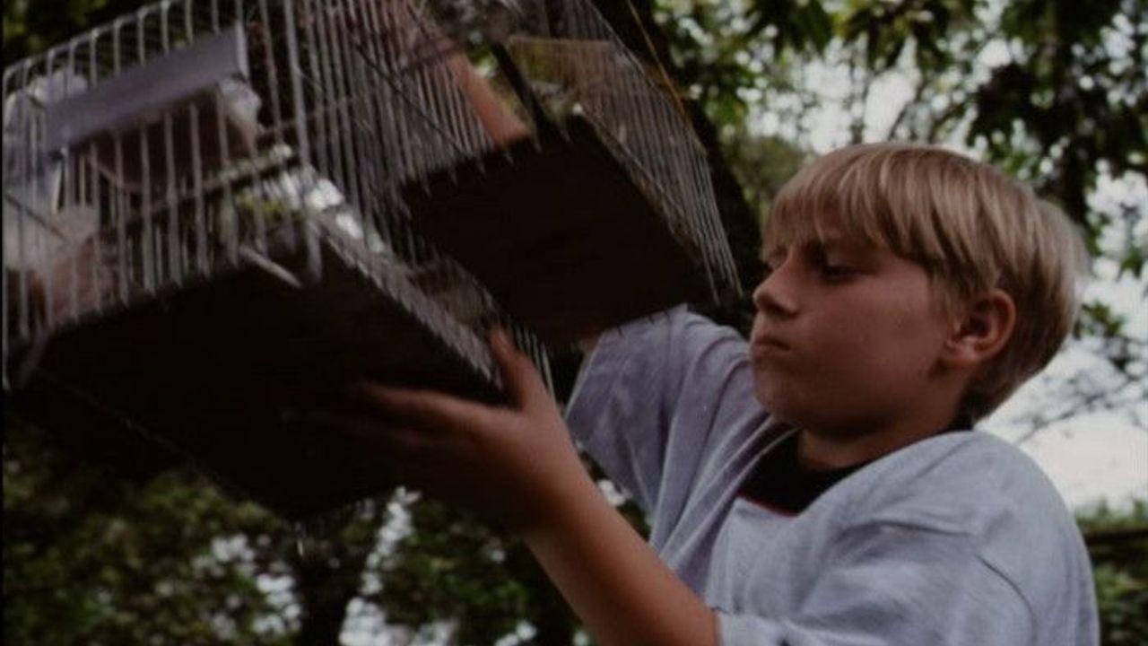 O Velho do Saco (1999)