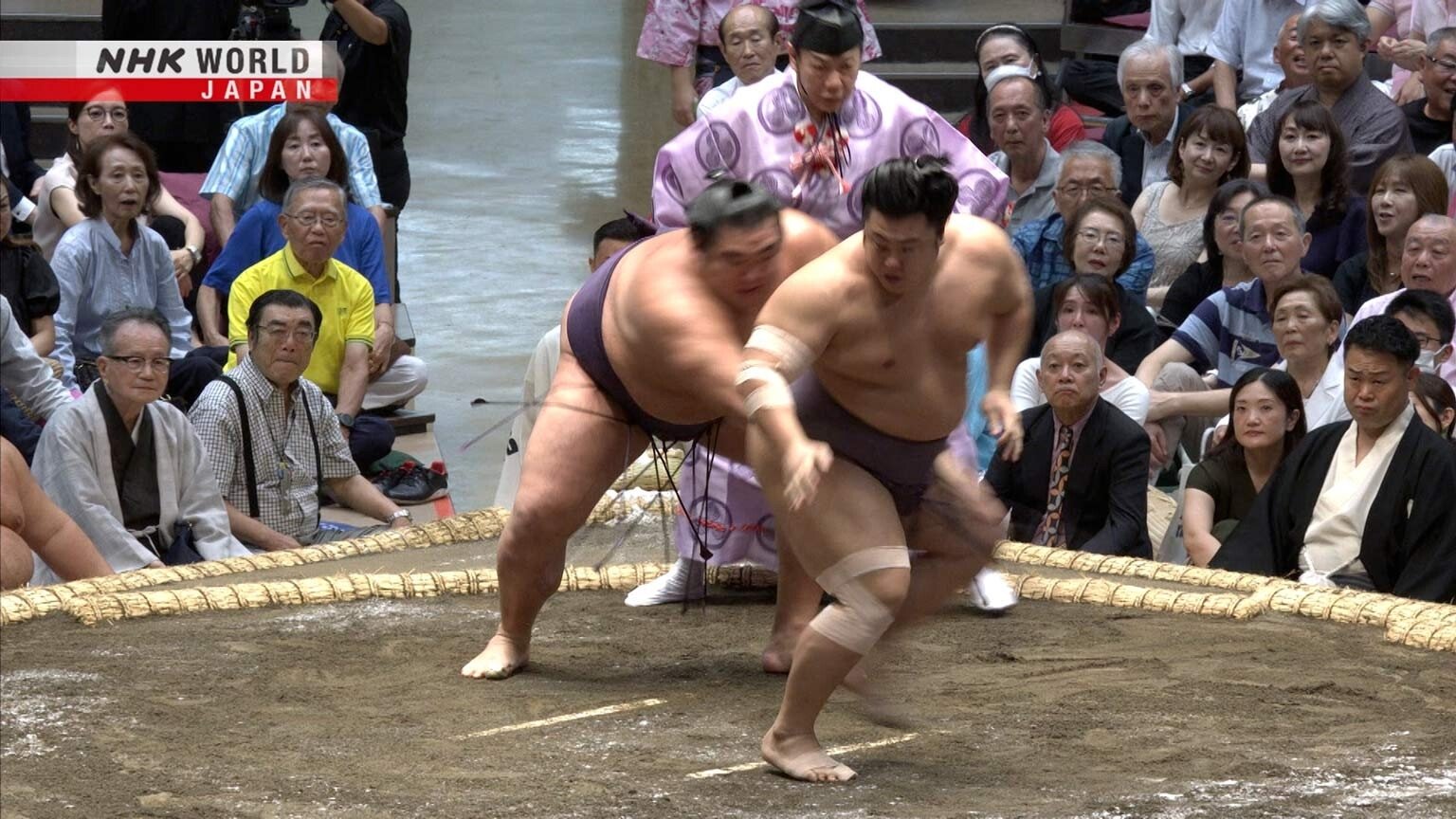 GRAND SUMO Highlights 31x1
