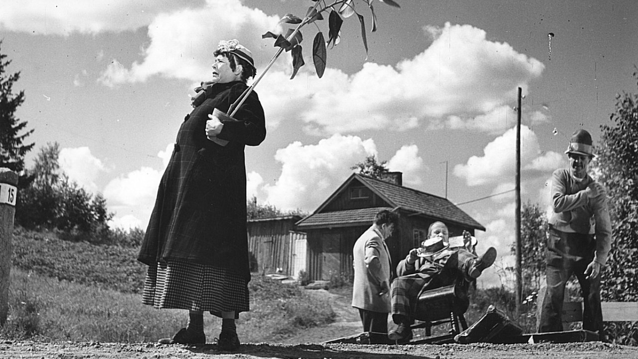 Pekka Puupää kesälaitumilla (1953)