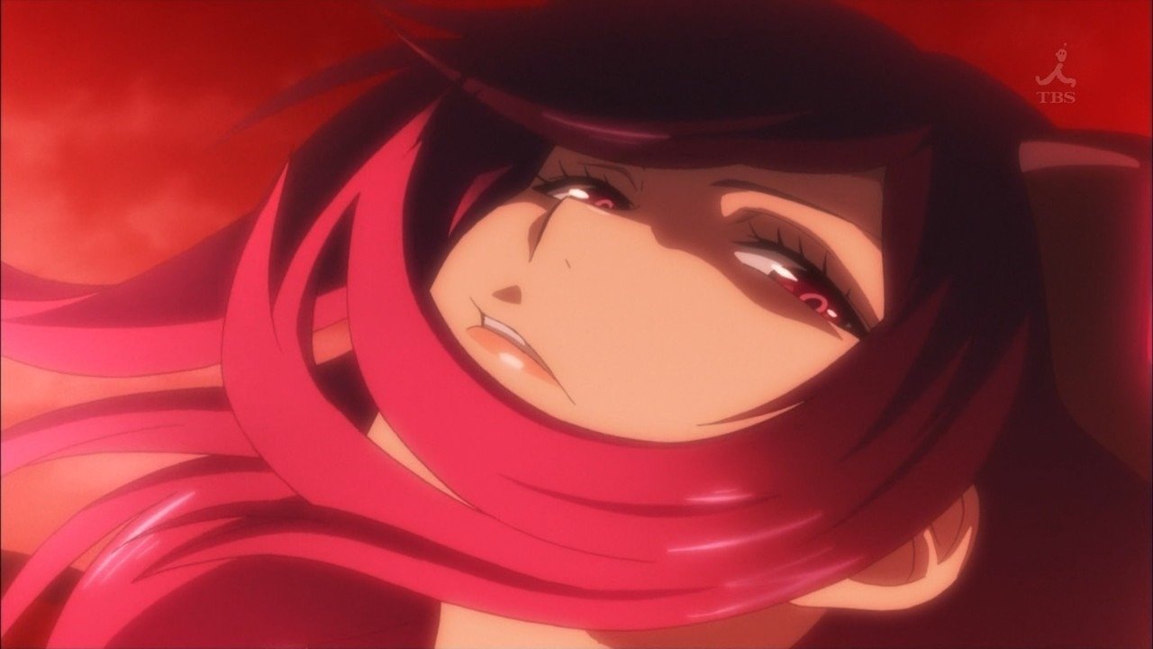Phantasy Star Online 2: The Animation