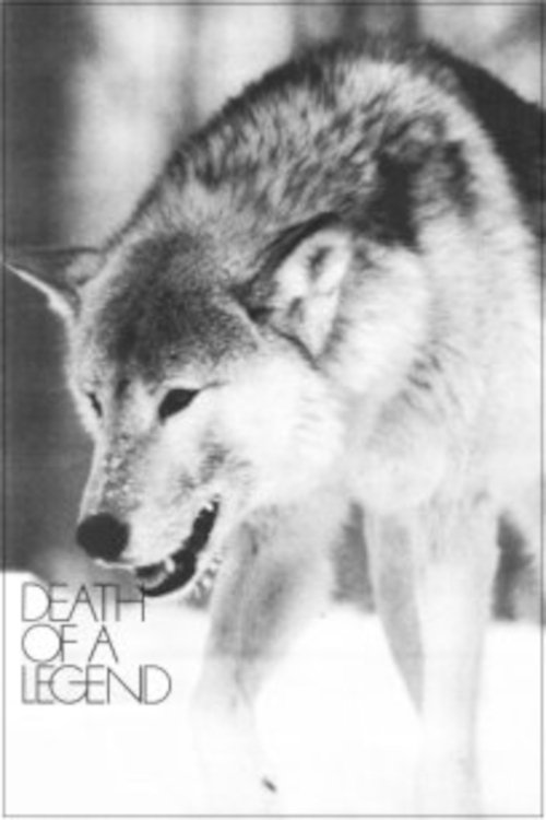 Death of a Legend