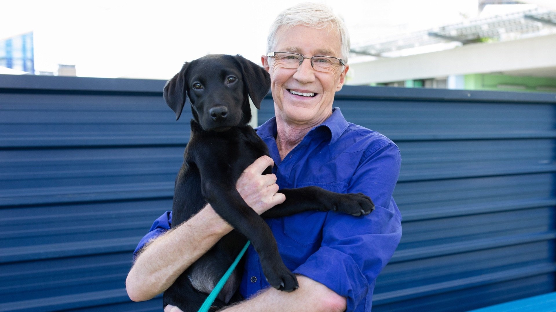 Paul O'Grady, pour l'amour des chiens - Épisode 6