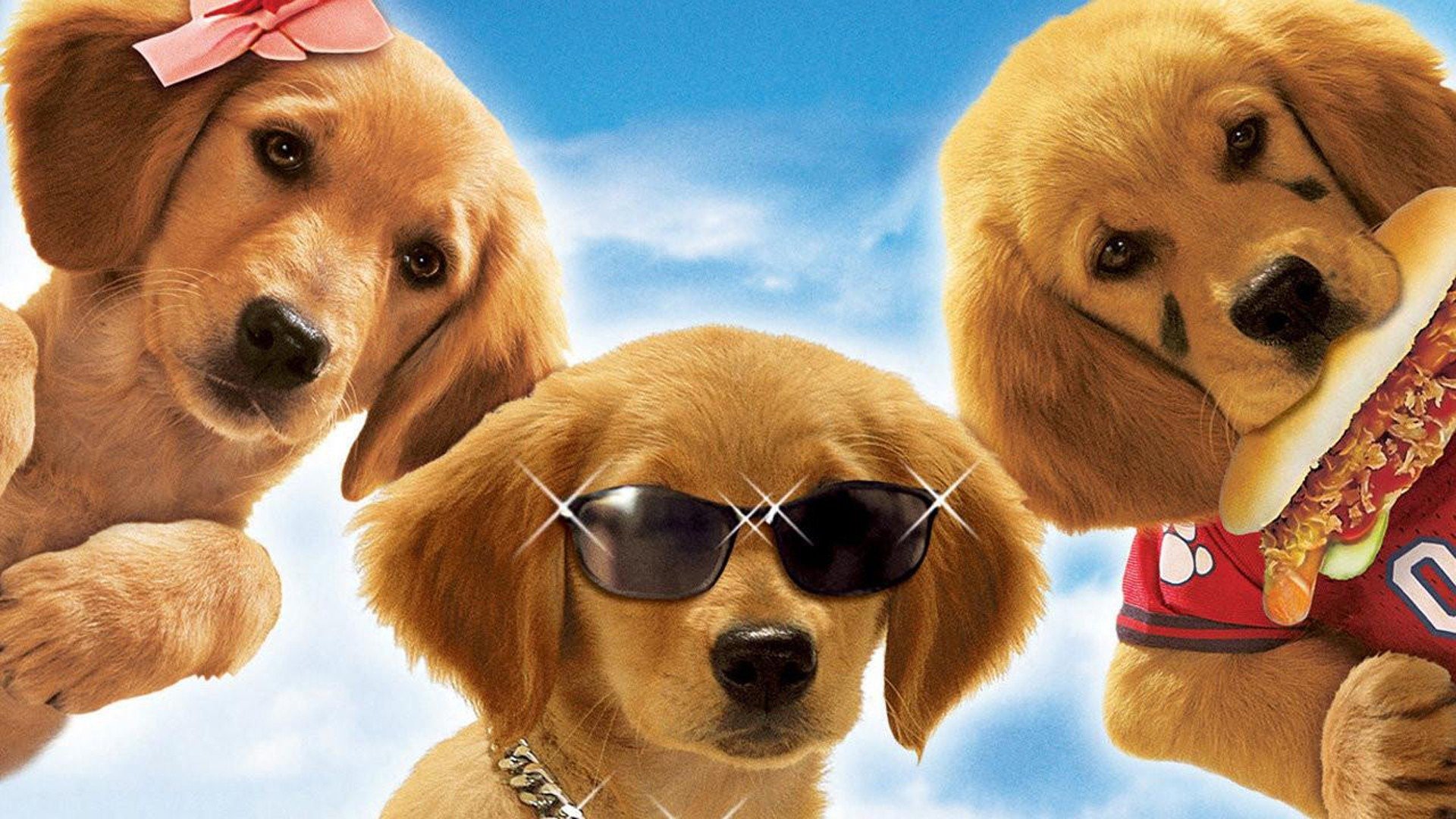 Air Buddies: Valpgänget på äventyr (2006)