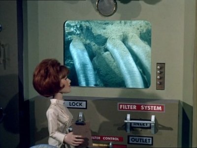 Stingray