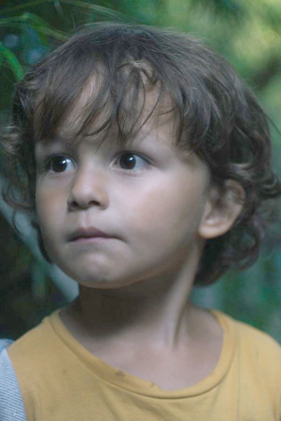 et billede af Paul Demoustier