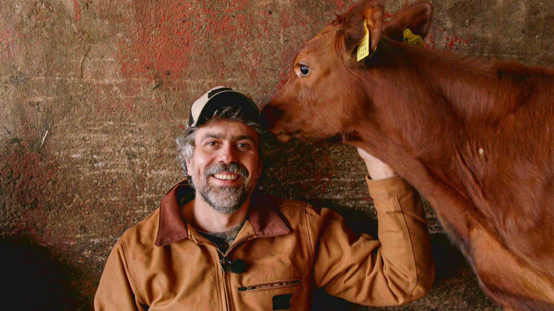 Hjälp, vi har köpt en bondgård! - Épisode 2