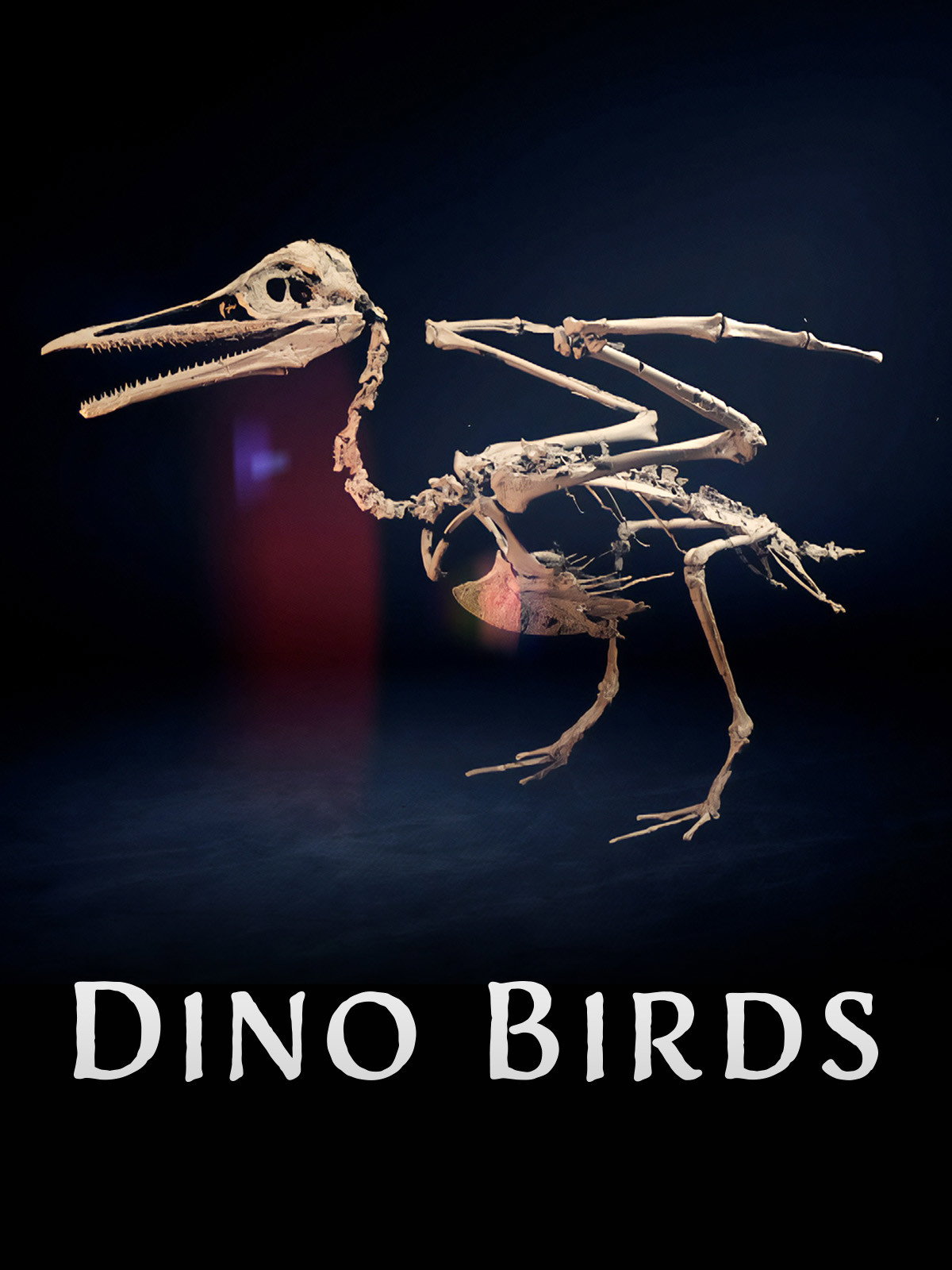 Dino Birds