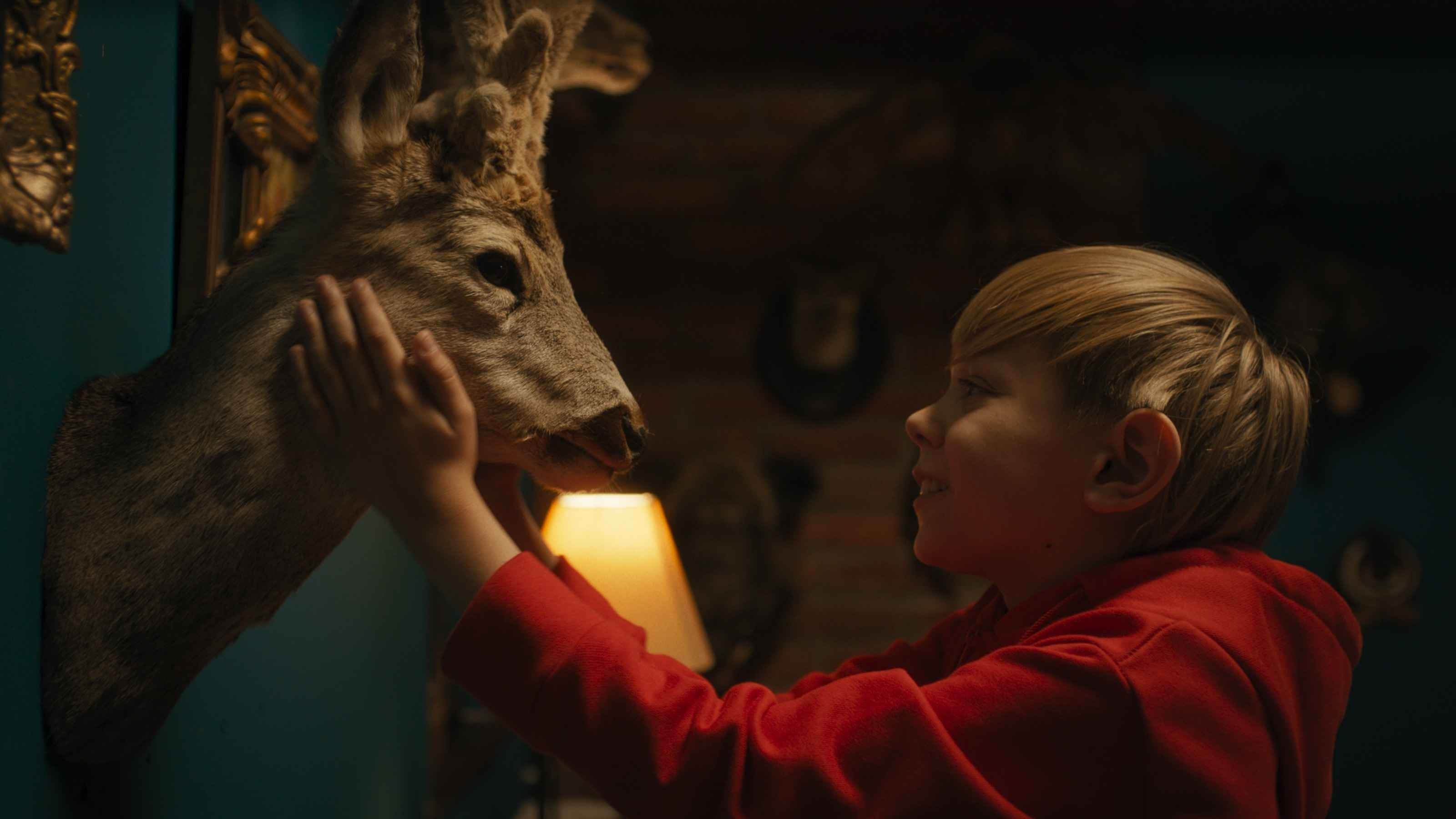 Boy (2022)