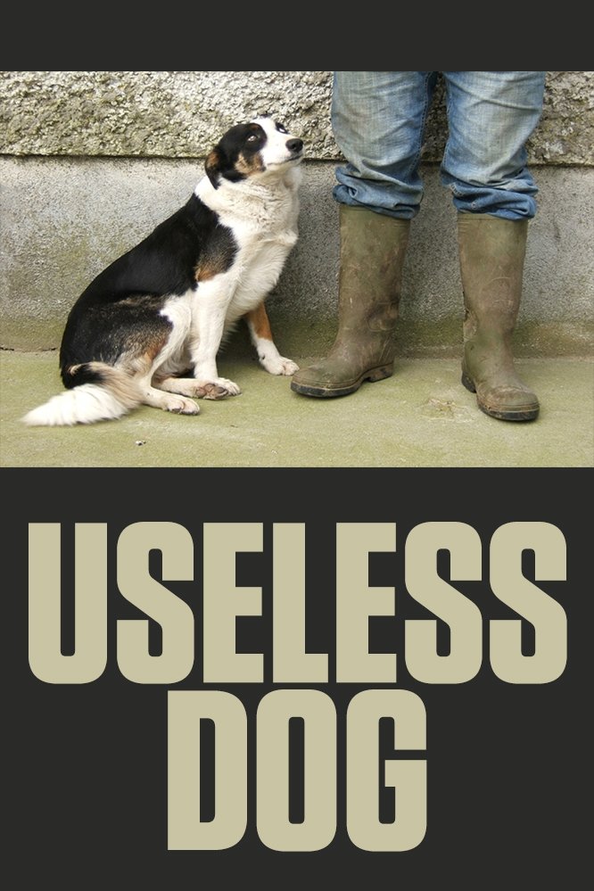 Content cover