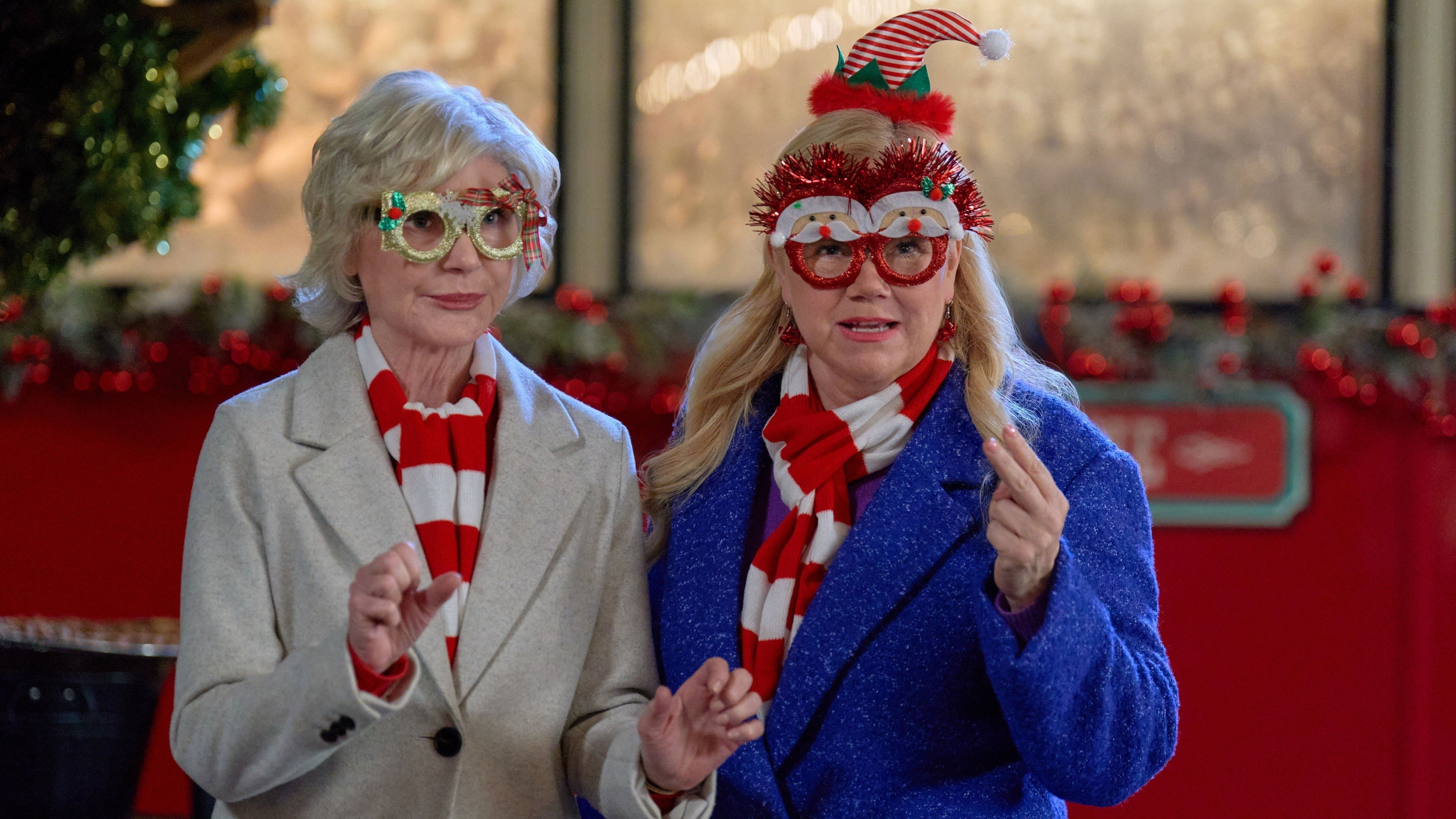 Holiday Mismatch (2024)