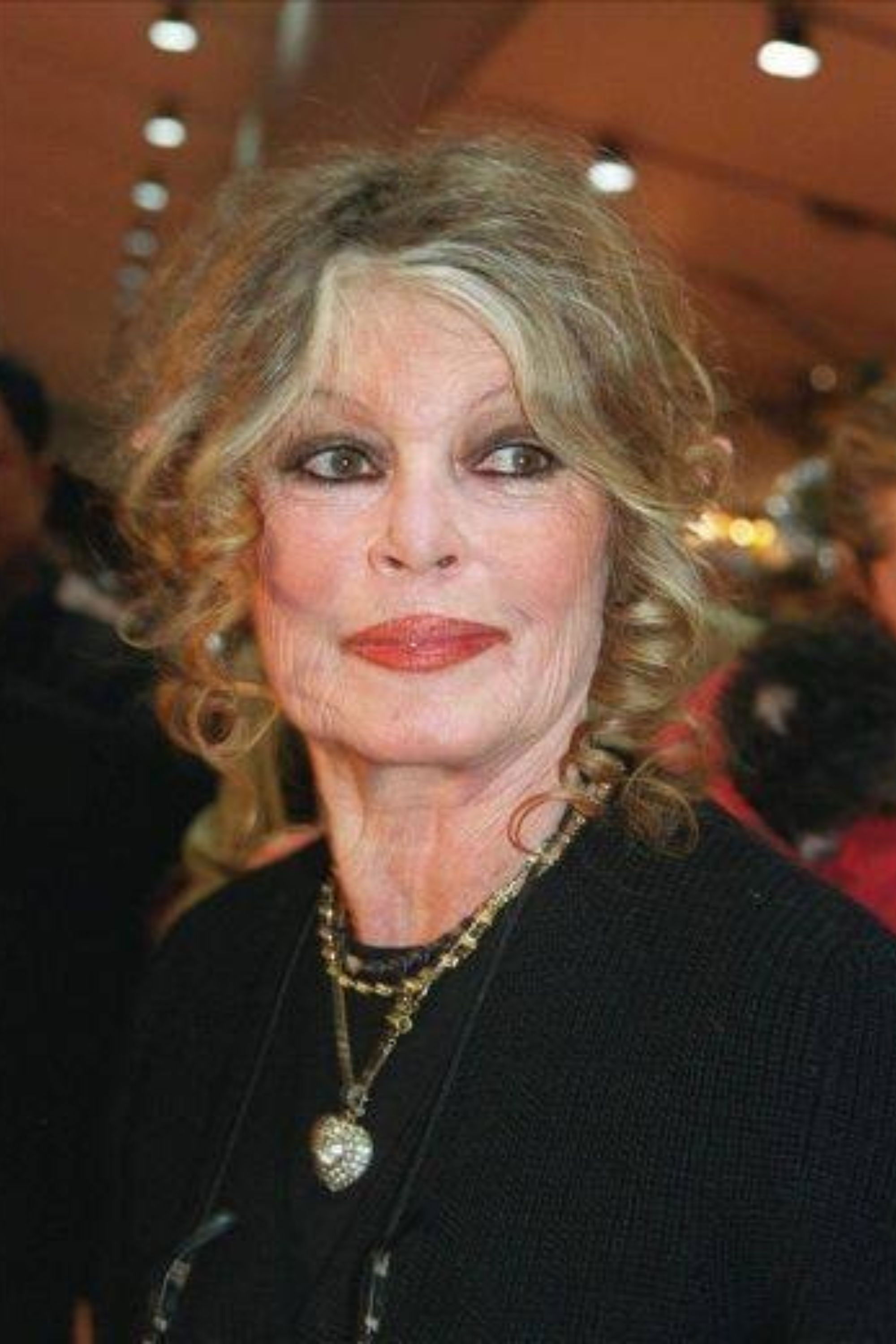 et billede af Brigitte Bardot