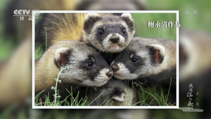 Thumbnail for Episode 3 Season 1 Episode 3