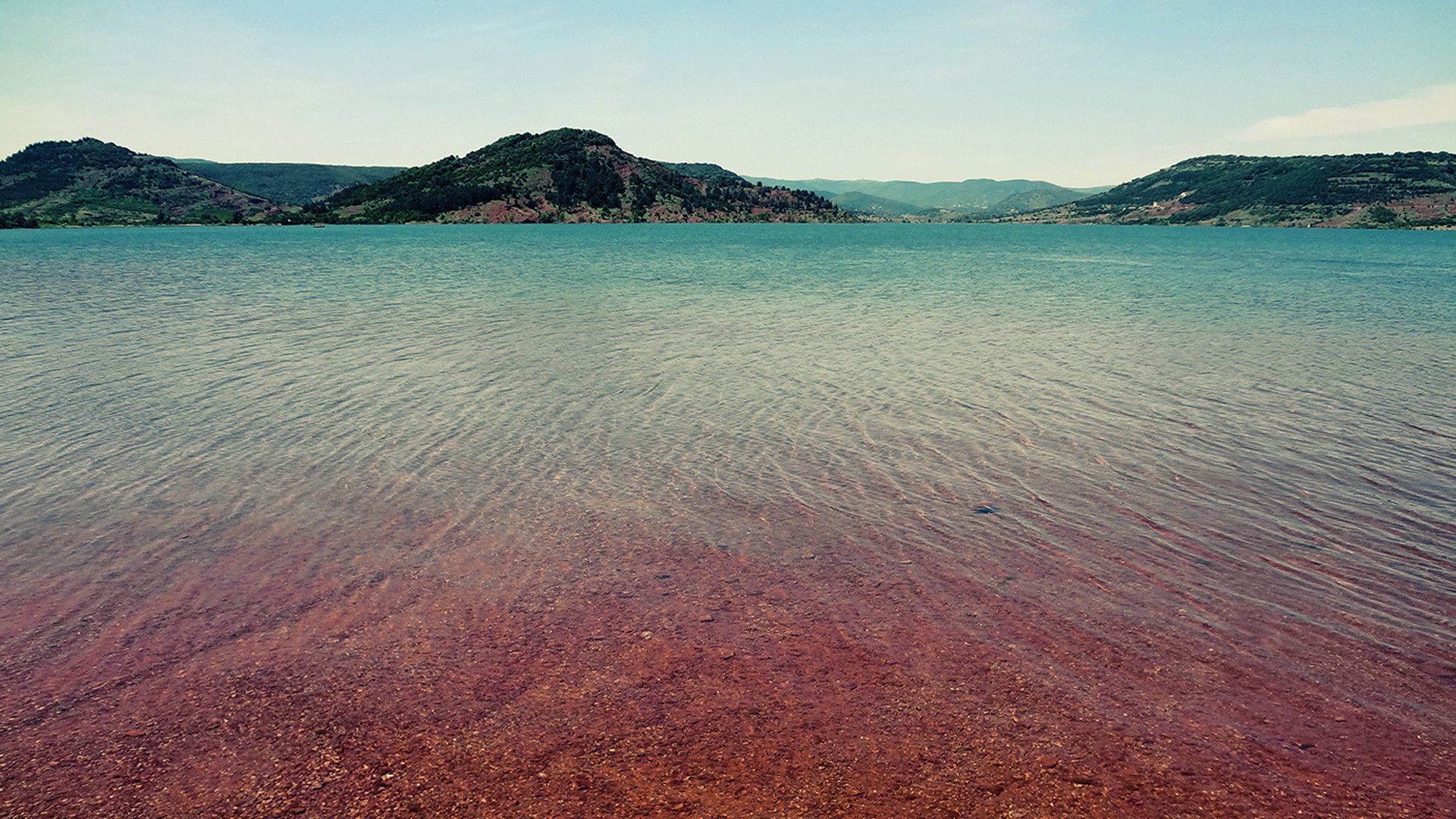 Celles et Ceux (2021)