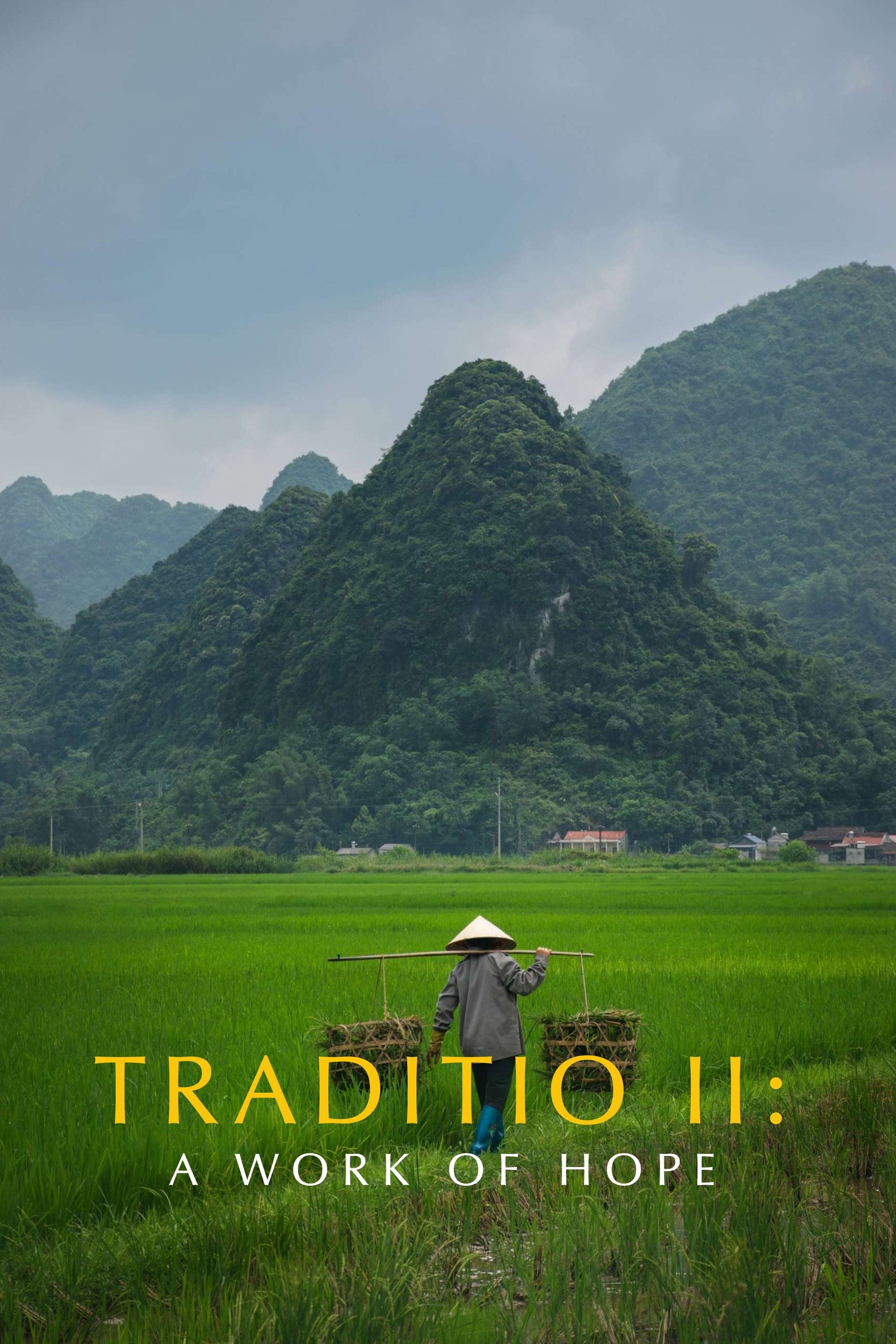 TRADITIO II: A Work of Hope