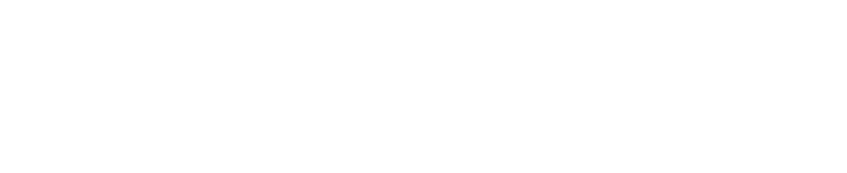 The Bridge Logo