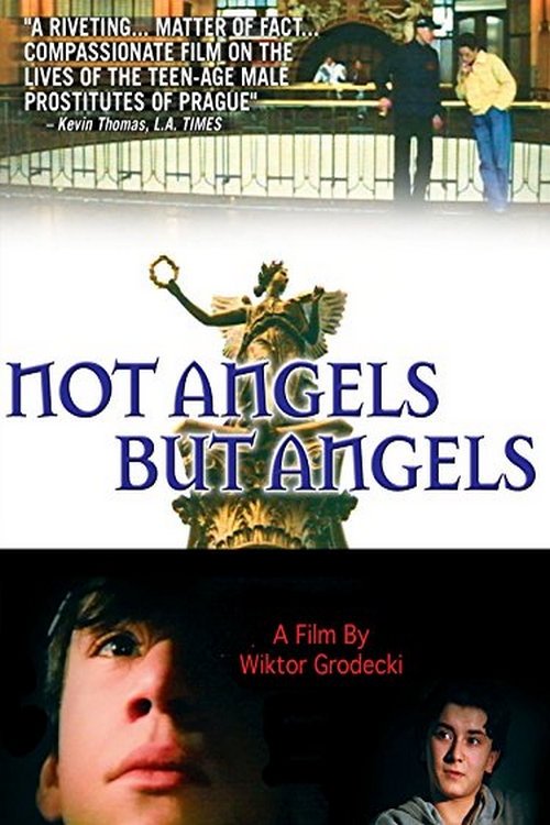 Not Angels But Angels