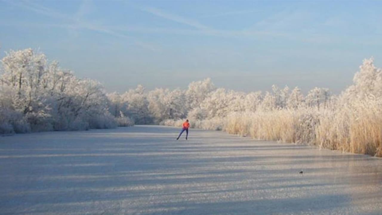 Als Het Kan Dan Moet Het (2011)