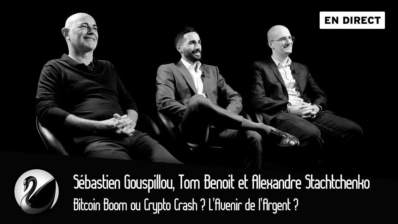 Thinkerview - Bitcoin Boom ou Crypto Crash ? L’Avenir de l’Argent ? Gouspillou, Benoit, Stachtchenko