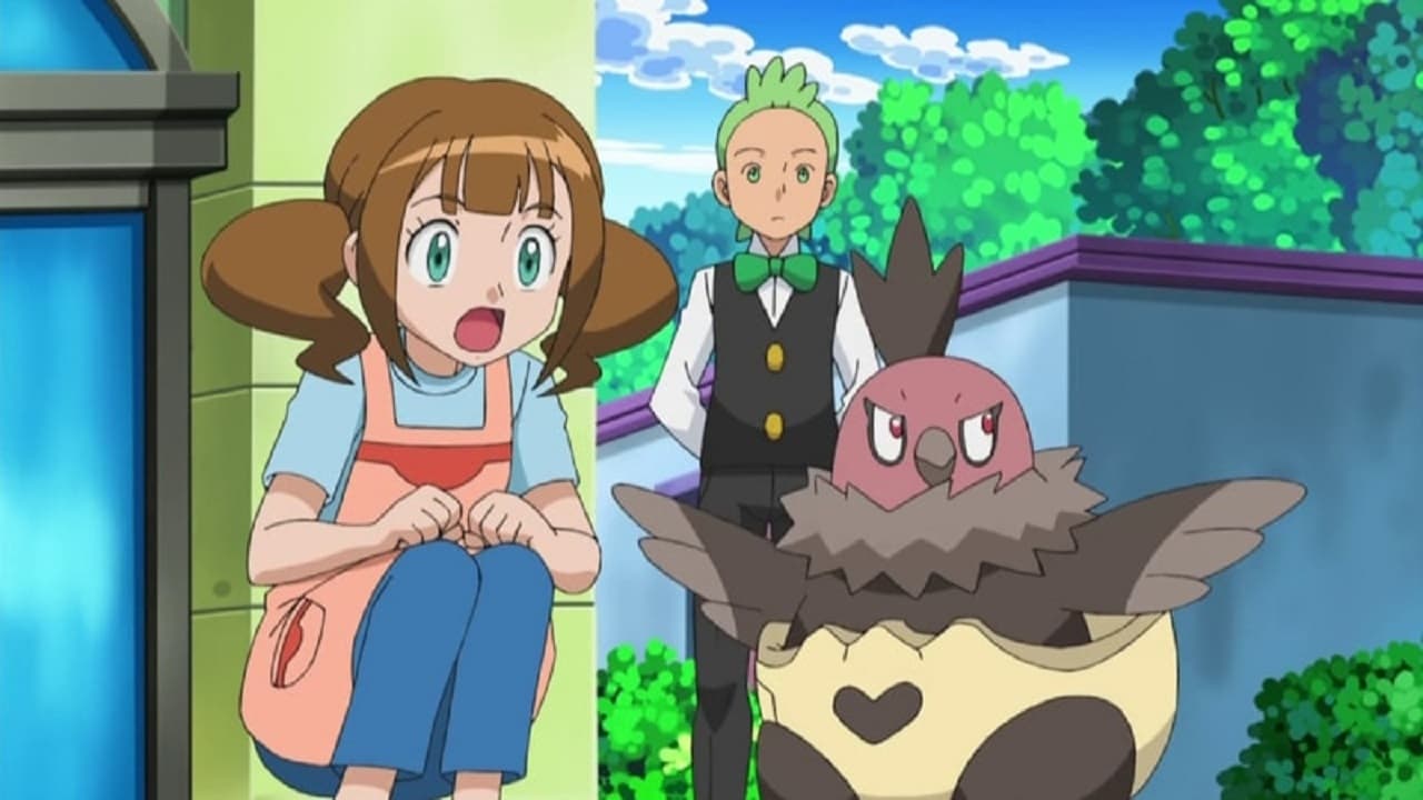 pokemon season 15 episodes online pokemon season 15 episodes online