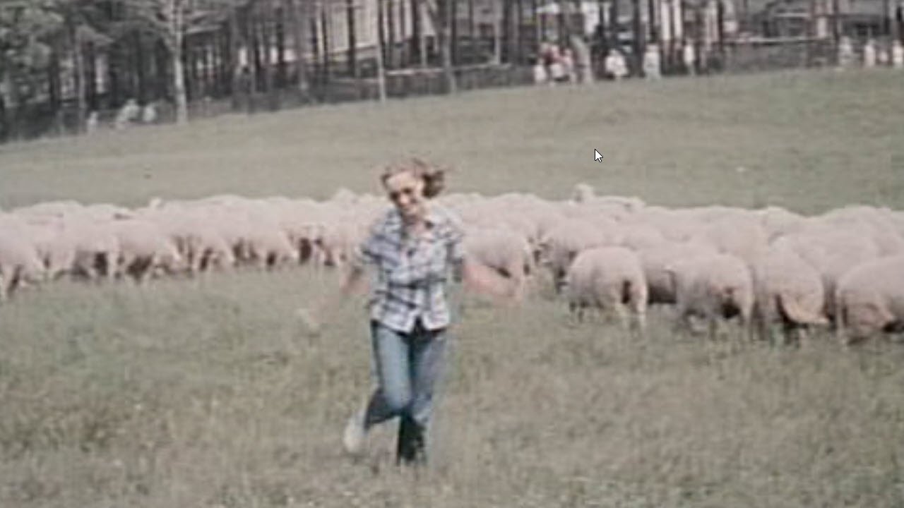 Anamnese (1980)