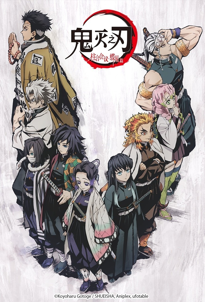 Demon Slayer: Kimetsu no Yaiba the Hashira Meeting Arc