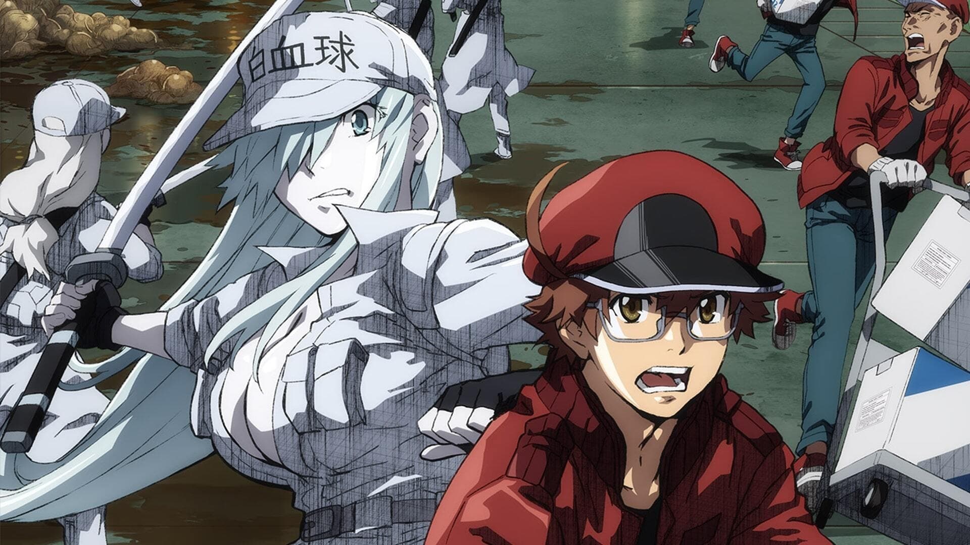 Hataraku Saibou / Cells at Work!: Trending Images Gallery (List View)