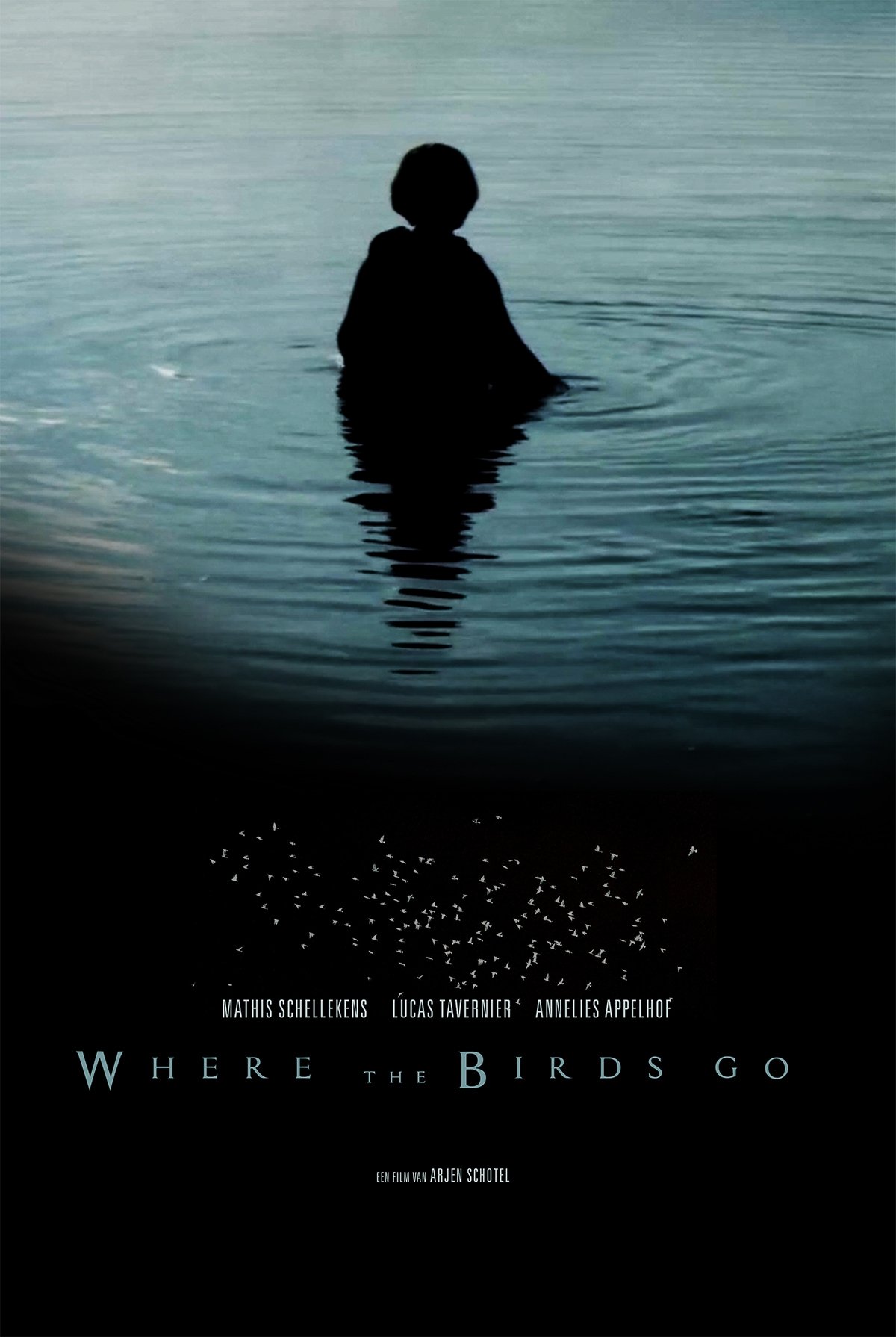 Where the birds go