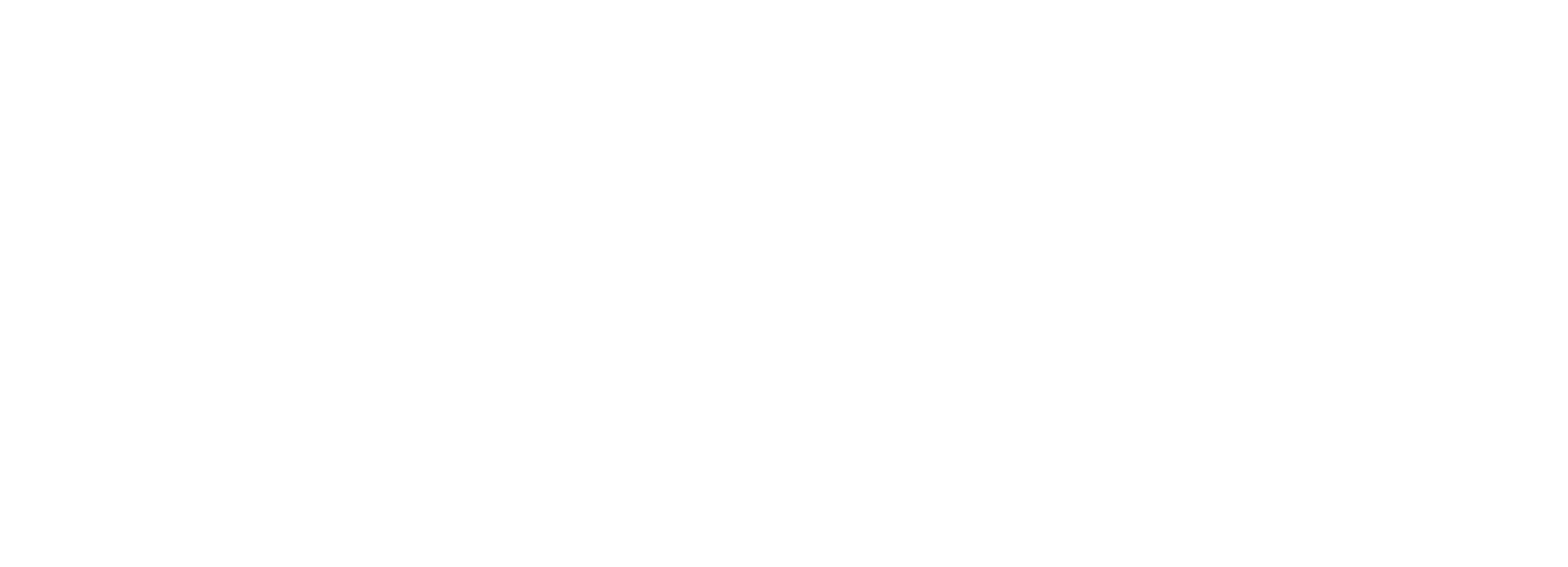 The American Revolution Logo