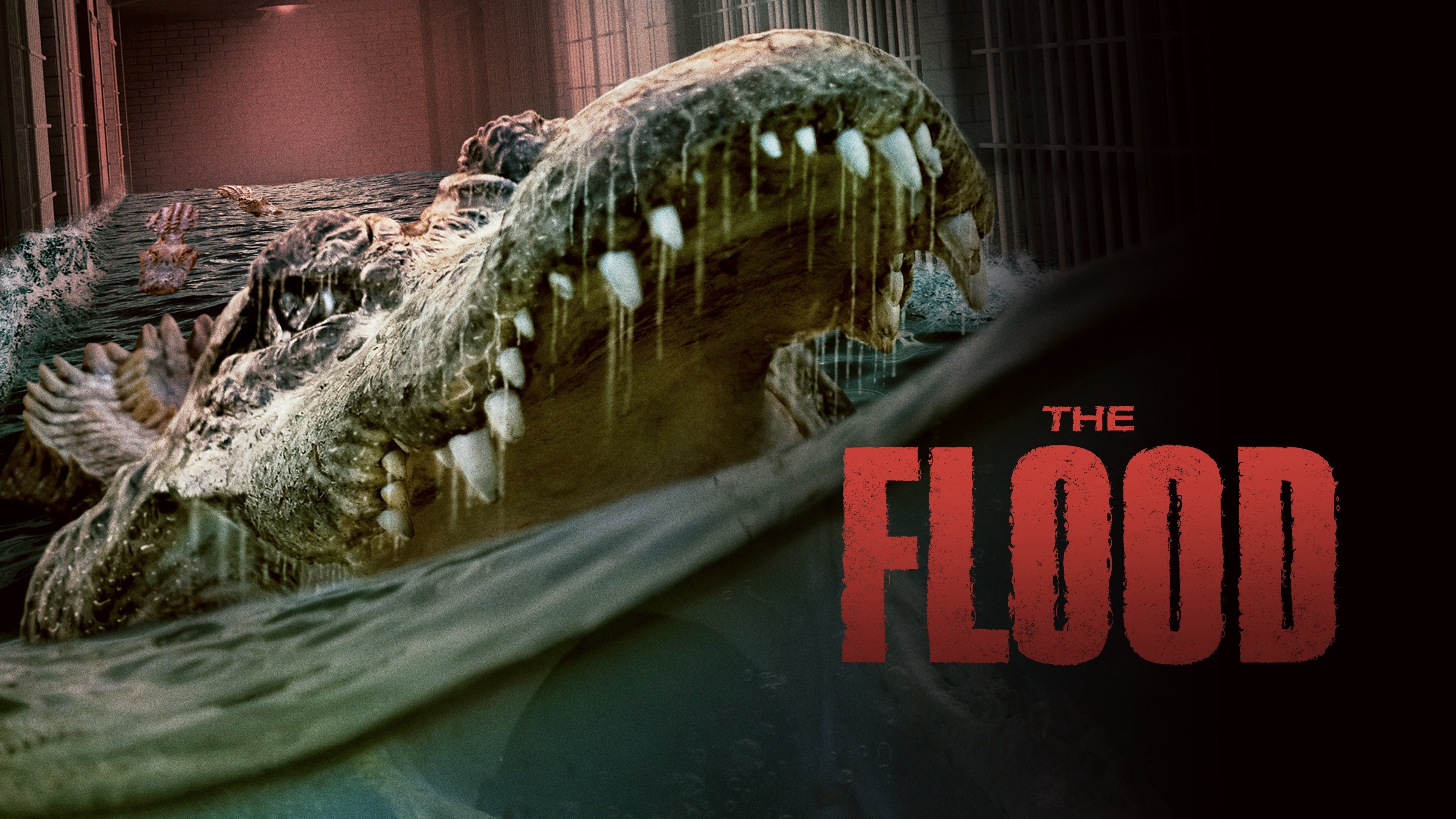 The Flood (2023)