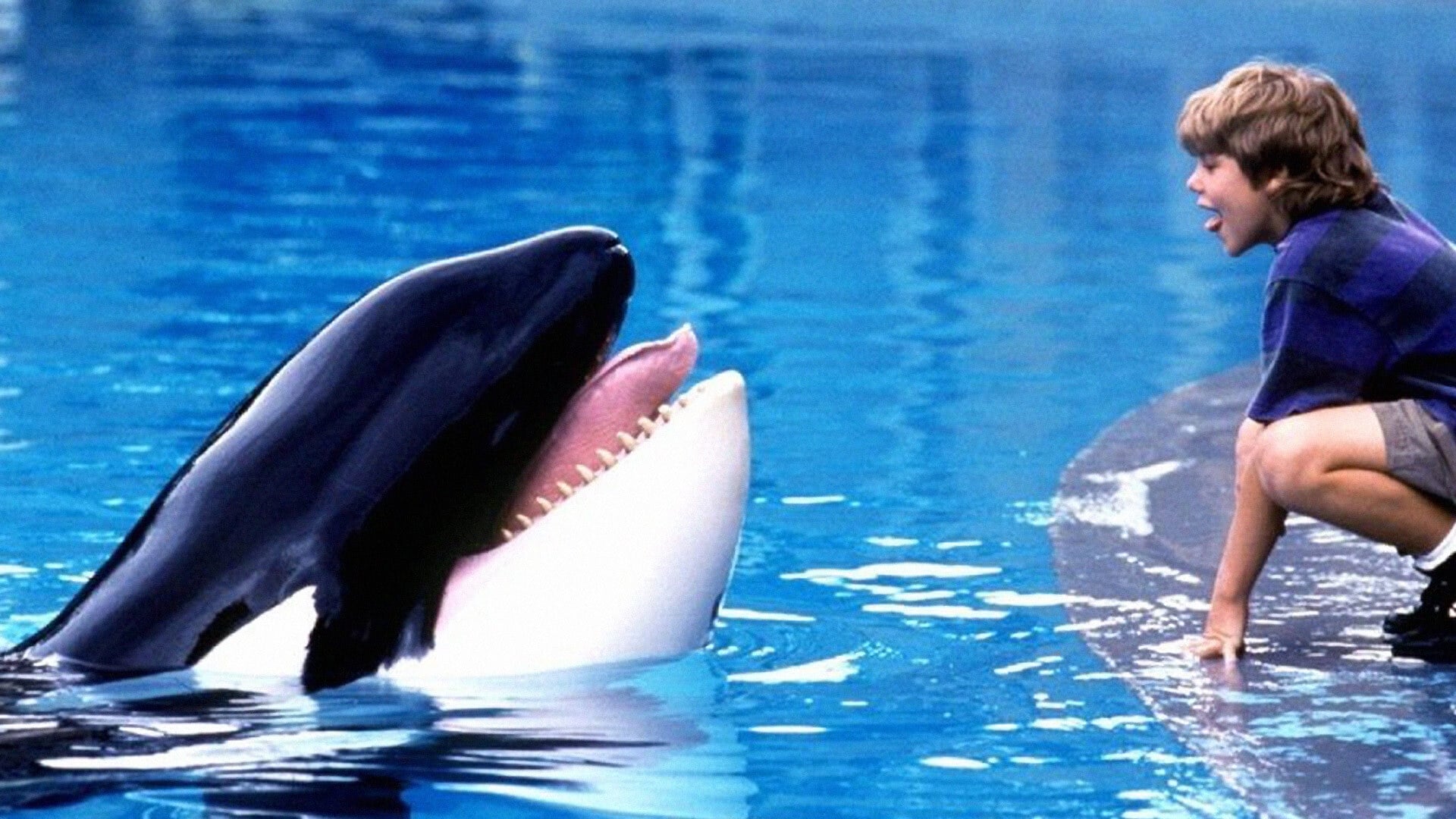 watch free willy 2 online megavideo