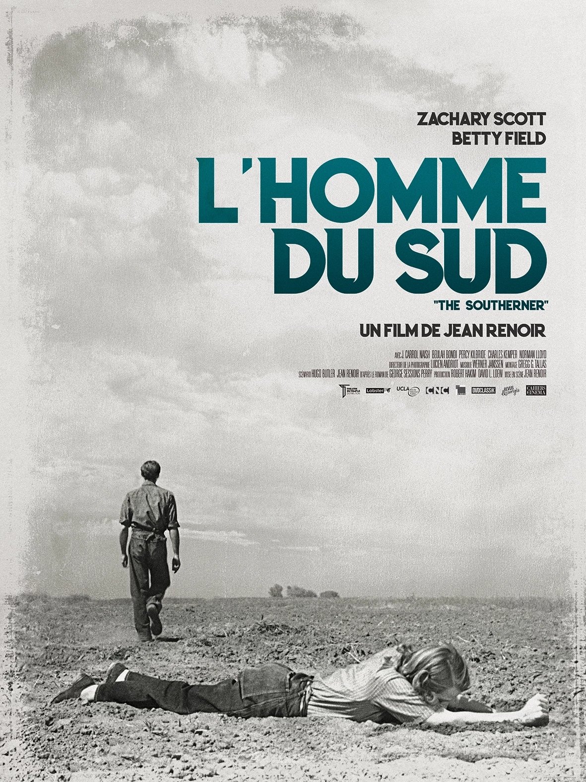 Affiche du film L'Homme du Sud 11239