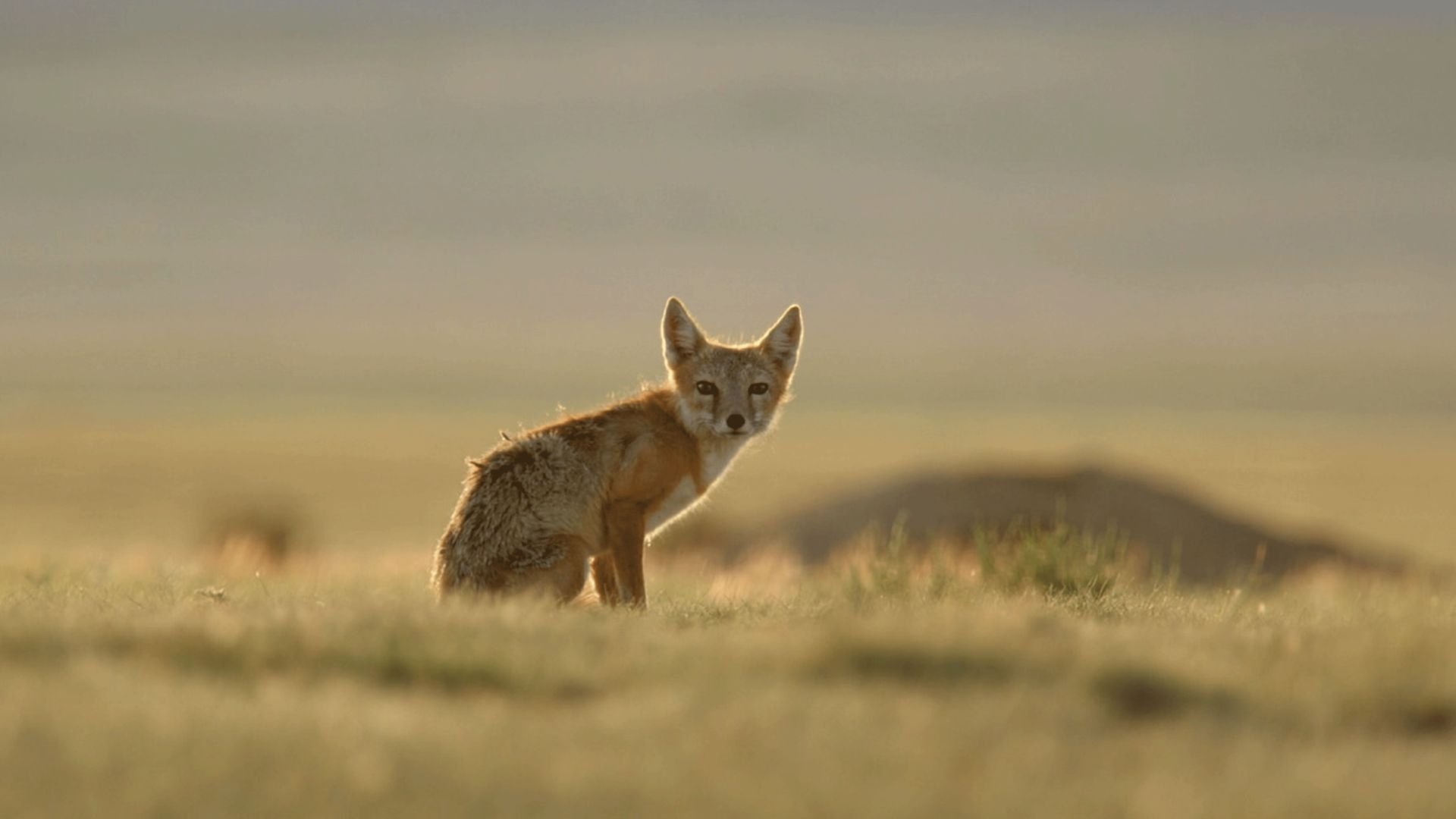 Thumbnail for Grand Canyon Season 1 Episode 7