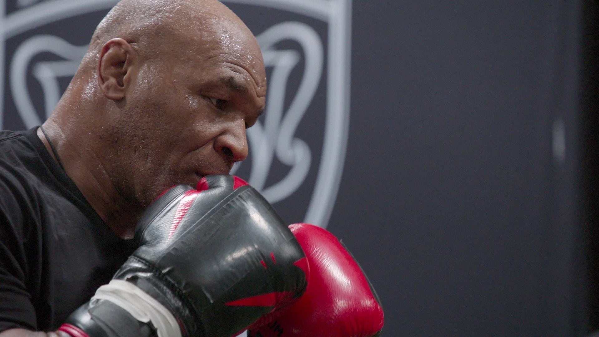 Countdown: Paul vs. Tyson