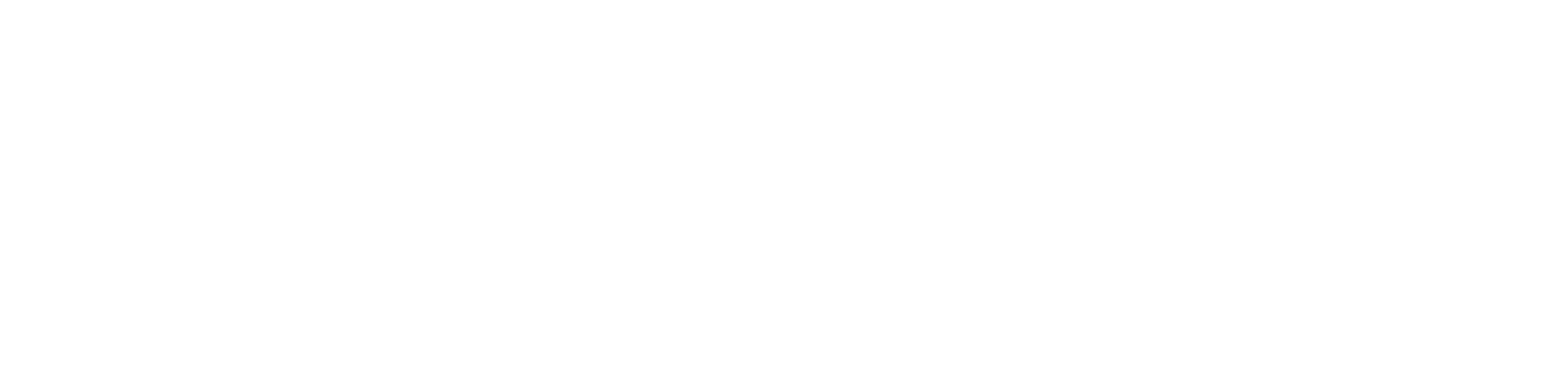 mid90s Logo