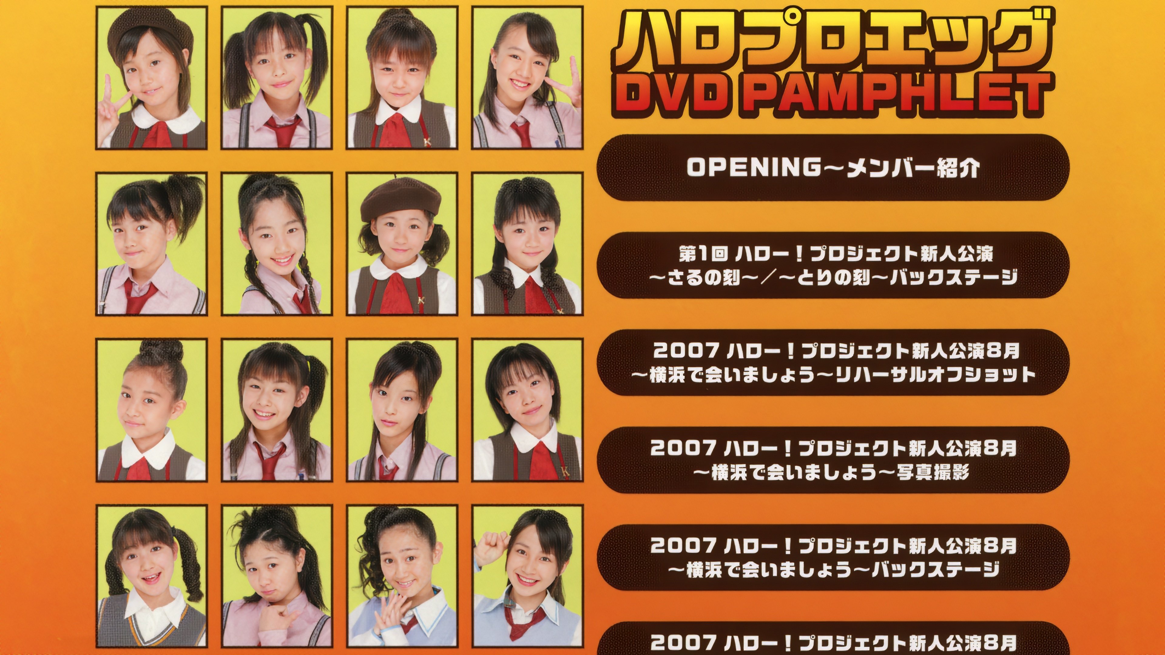 Hello Pro Egg DVD Pamphlet (2007)