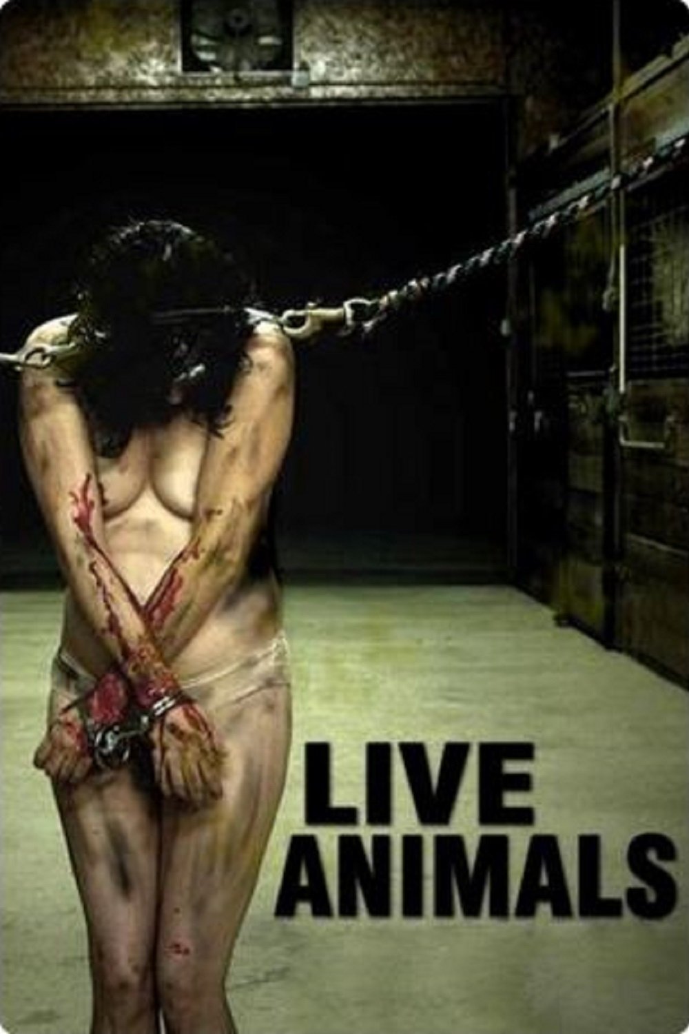 Live Animals