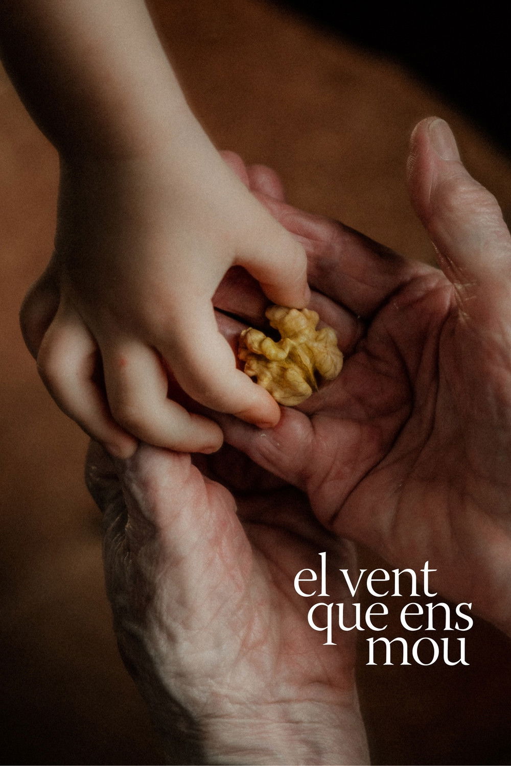 Poster for El vent que ens mou