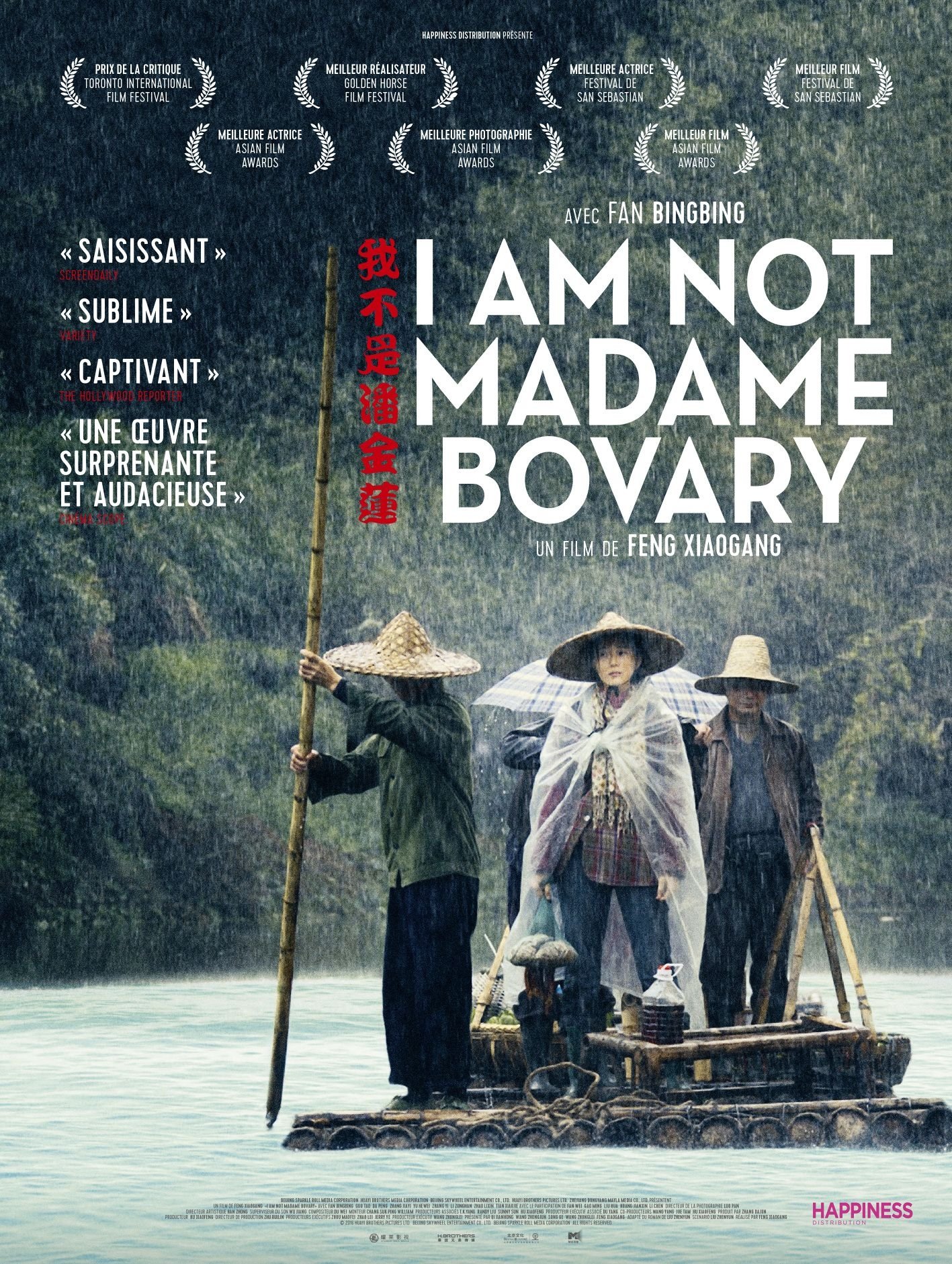 Affiche du film I Am Not Madame Bovary 14093