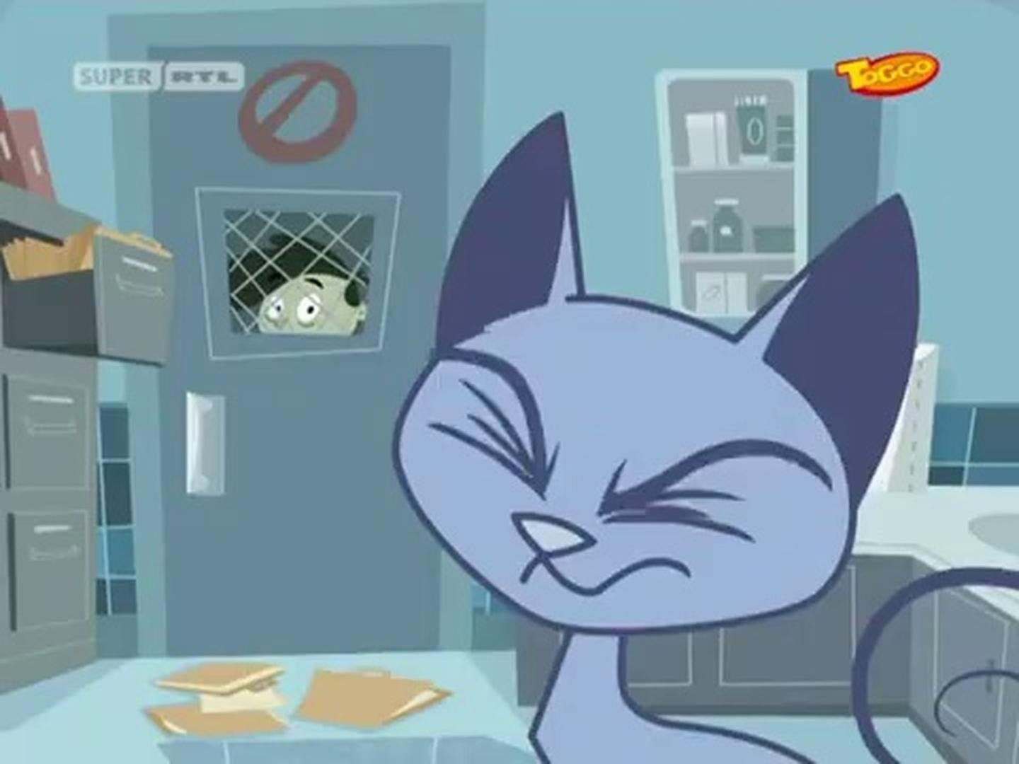 Kid vs. Kat