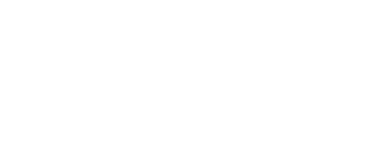 Number One Fan Logo