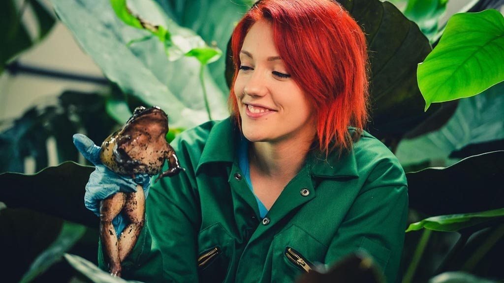 The Secret Life of the Zoo