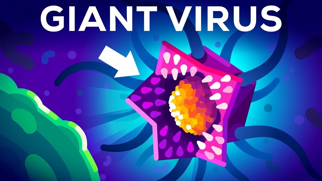 Kurzgesagt - In a Nutshell