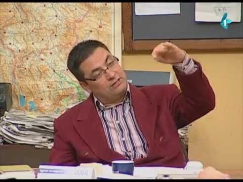 Government Job