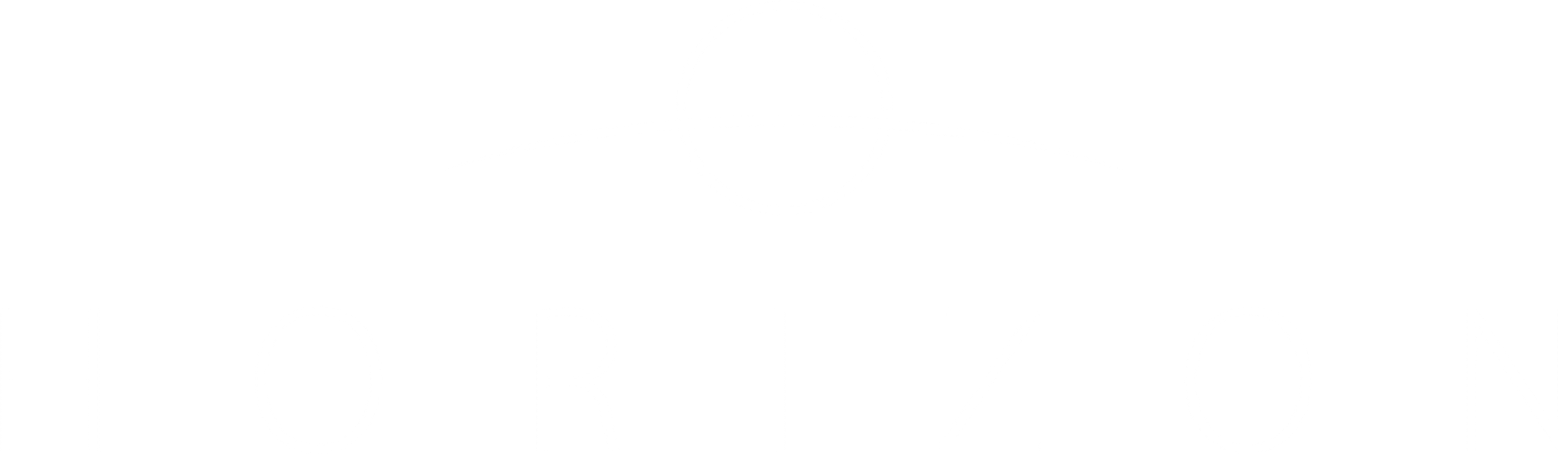 Horizon Logo